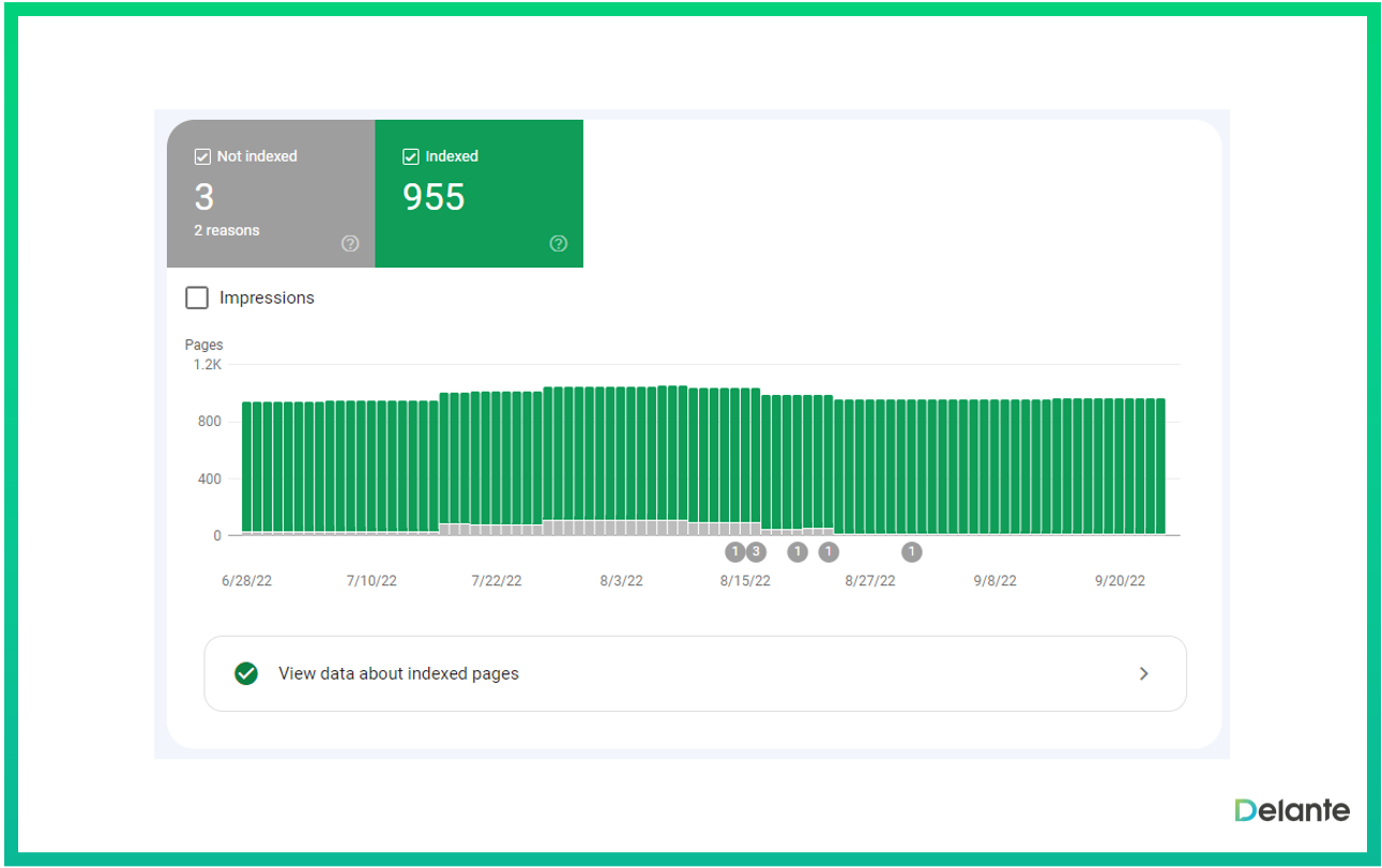 seo daily checklist indexing report