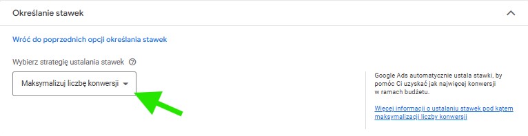 Określanie Stawek Google Ads