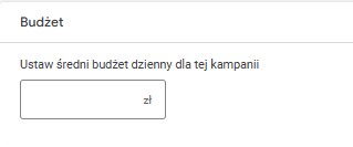 Budżet Kampanii Google Ads