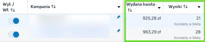 wyniki kampanii meta ads 