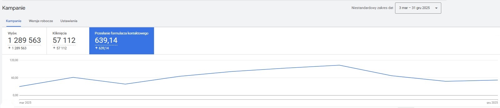 Wyniki z Google Ads
