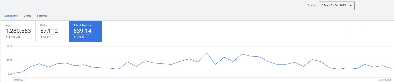 Google Ads Results from March to December 2025
